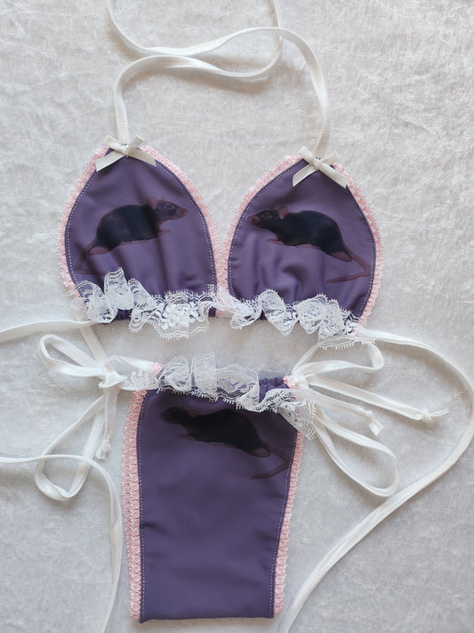 Rat sample. Size 8