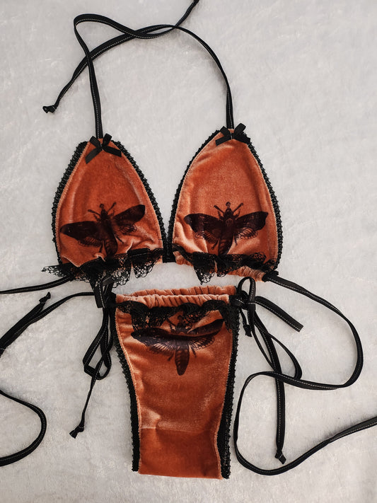 Burnt Orange Mothkini Pre Order