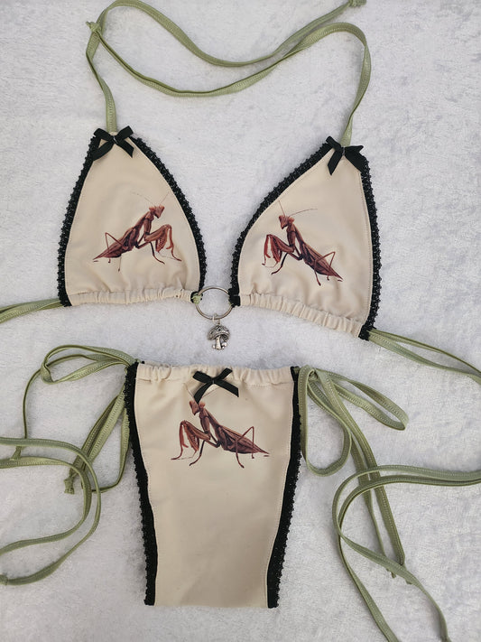 Prayingmantis Kini Set